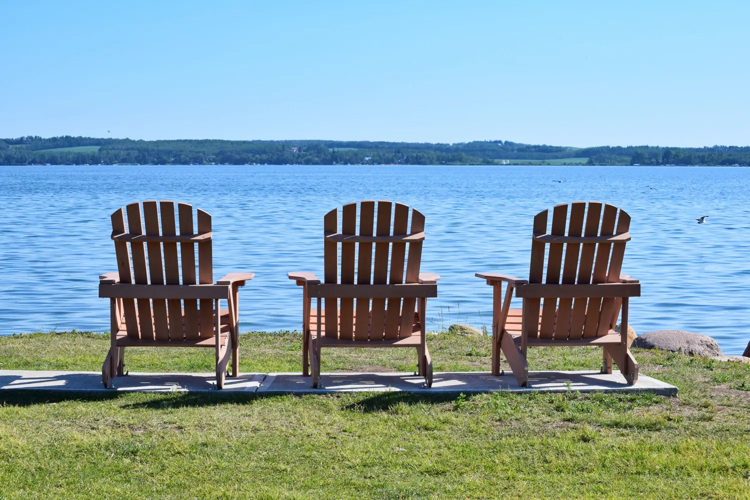 Sylvan Lake Rezonings